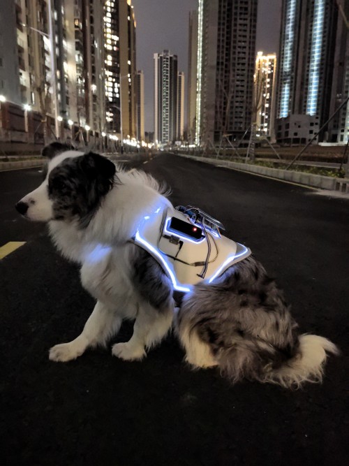 Dog chest harness with light